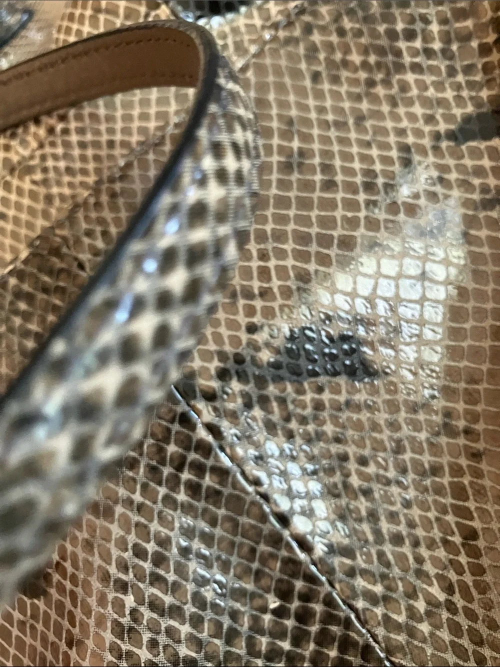 Coach snakeskin Purse